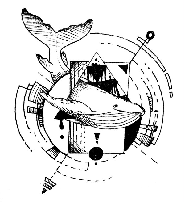 whale