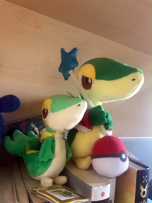 snivy cute！！