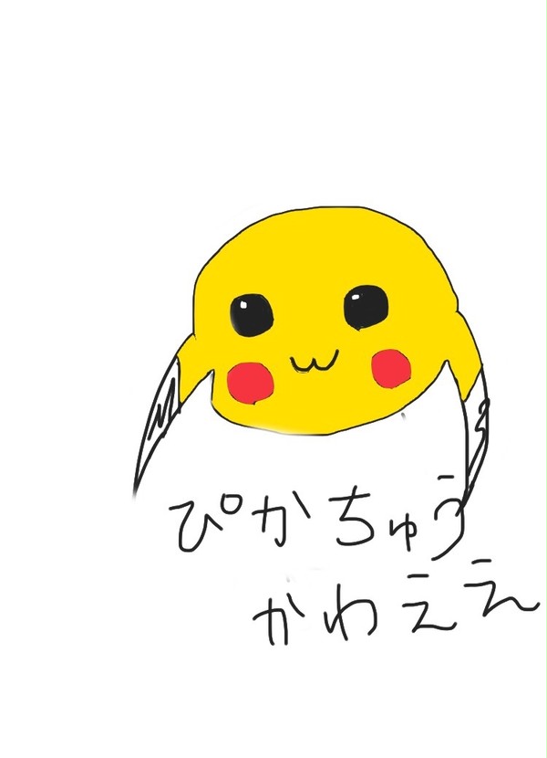 ぴかちゅう