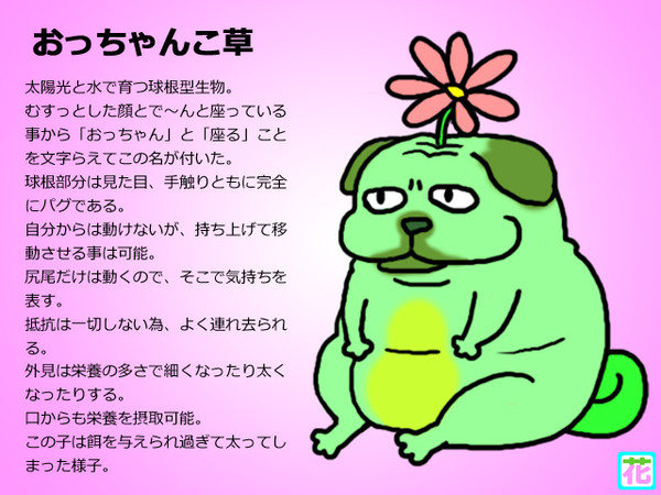 【ラクガキ大戦争】おっちゃんこ草