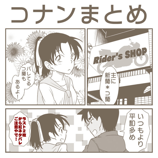 コナンまとめ13