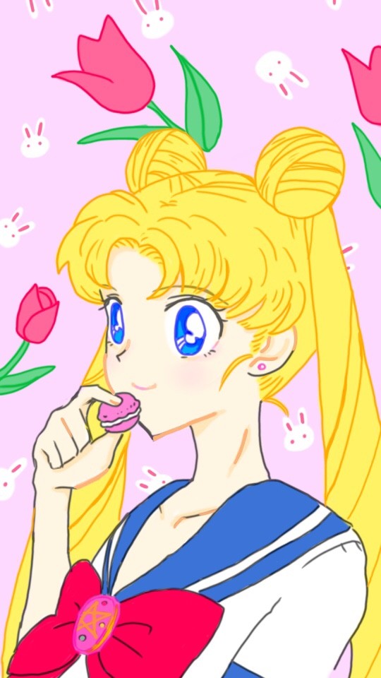 うさぎちゃん