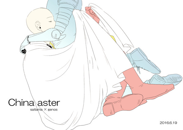 【web公開】China aster【サイジェノ既刊】