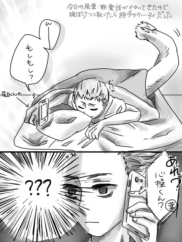 尾葉