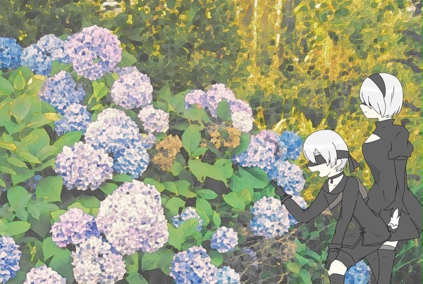 紫陽花 修正