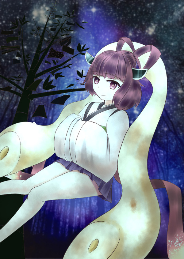 夜王子と月の姫