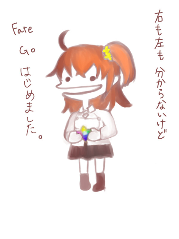 Fate/Goはじめました