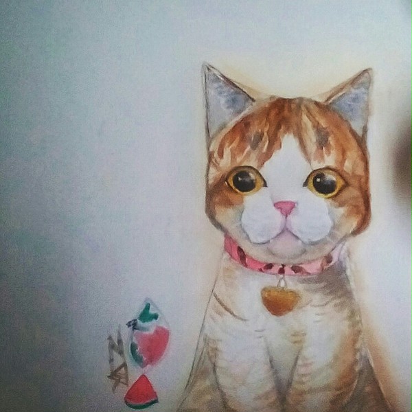 neko
