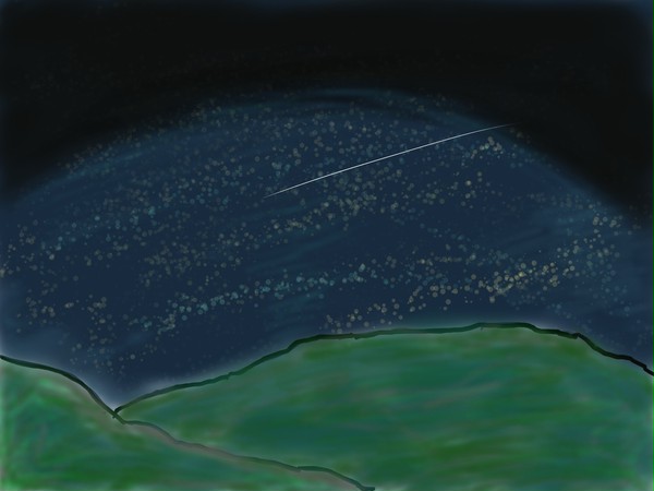 夜の山