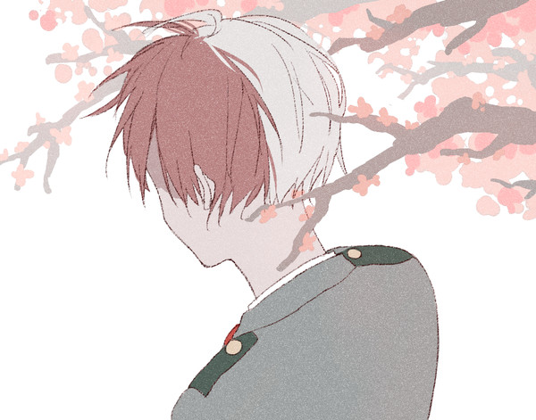 (●'◡'●)