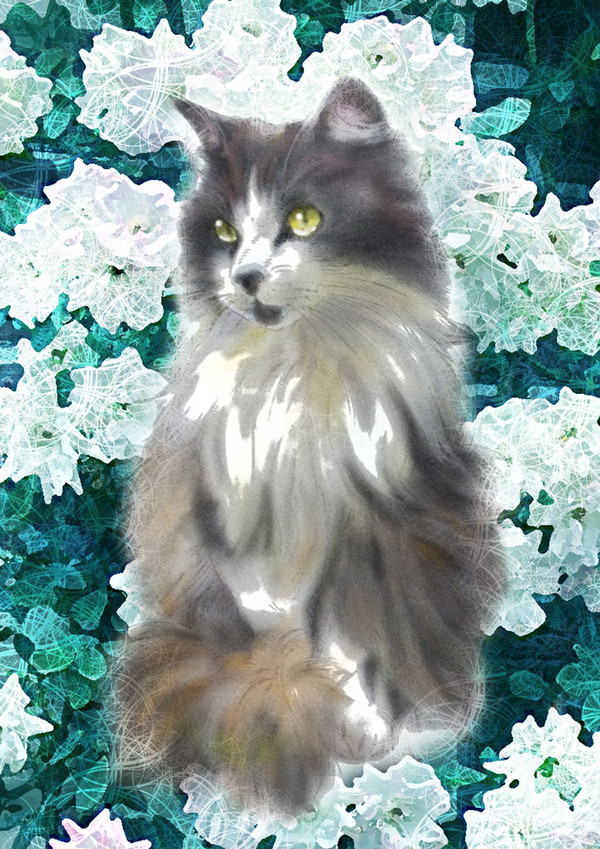 96猫
