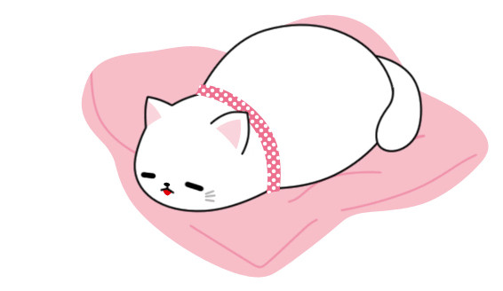 お昼寝タイム♪