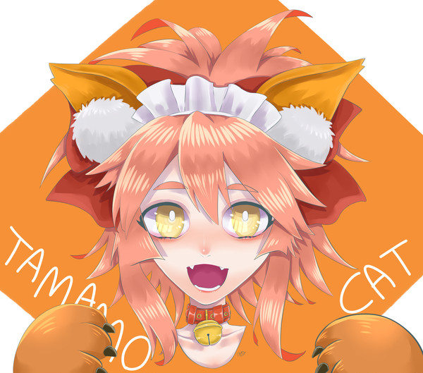 タマモキャット🐈