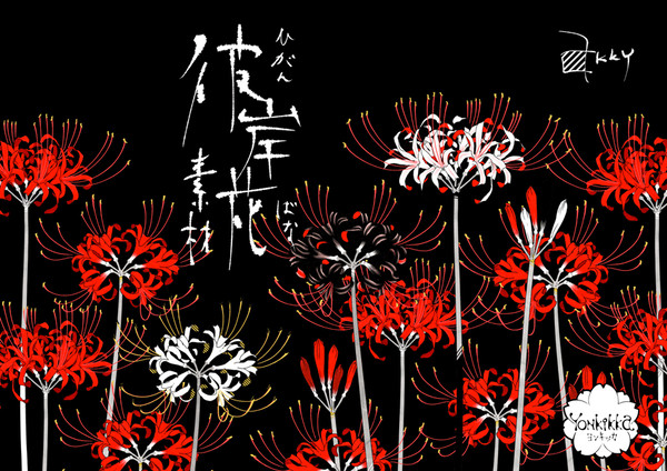 彼岸花素材