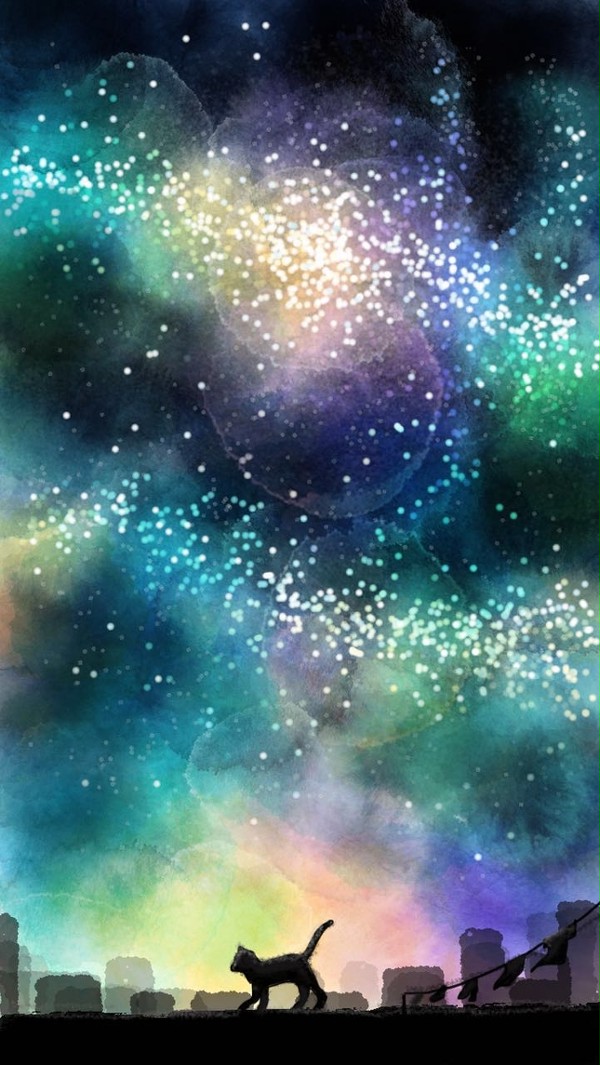 貓