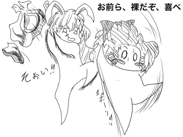 殺伐とした幻想郷で素っ裸に剥かれた霊夢