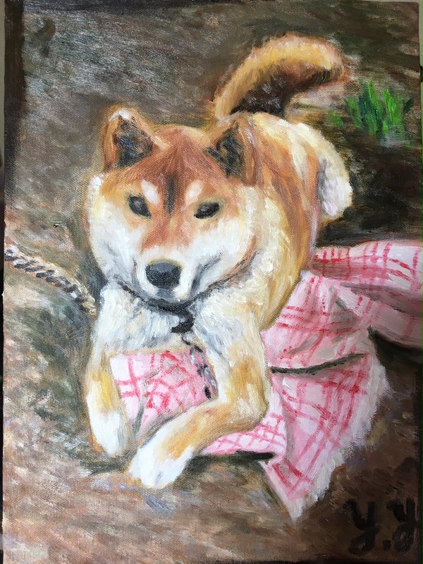 知り合いの家の犬
