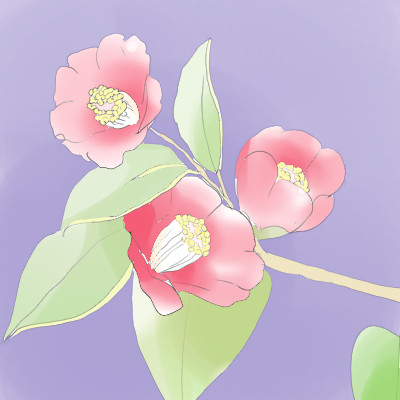 椿の背景