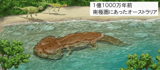 １億１０００万年前の南極圏オーストラリア