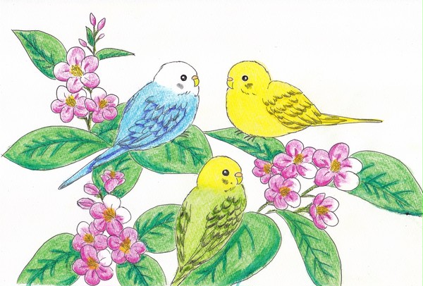 箱根空木といんこ