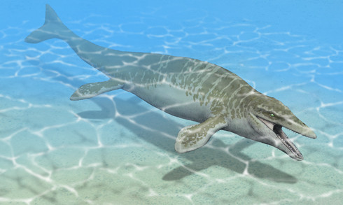 モササウルス