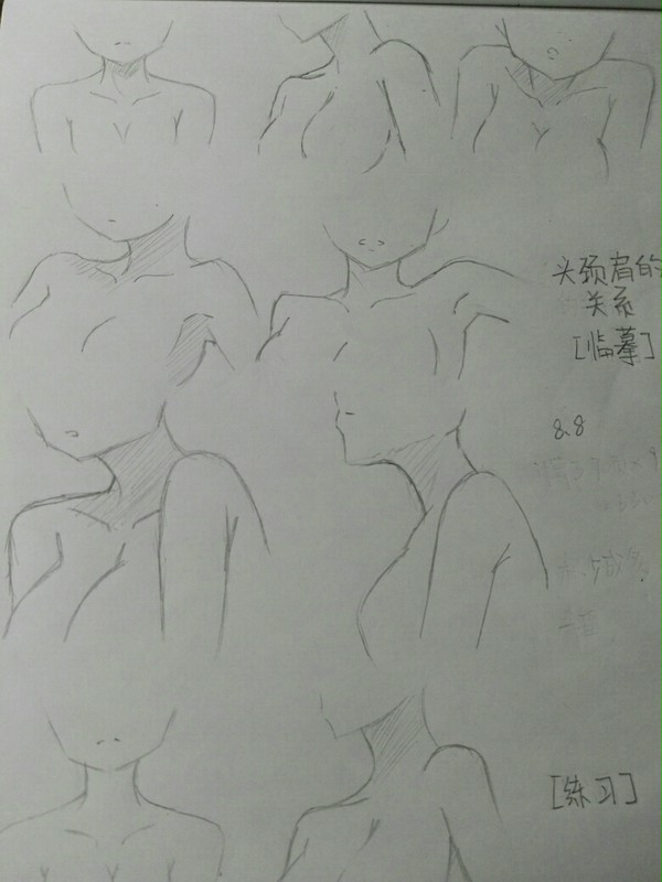 练习-头颈肩1