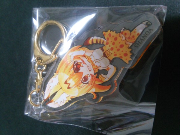 サーバルアクキー