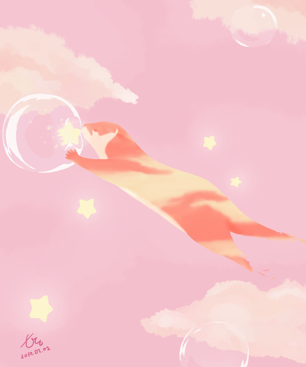 星を集めているカワウソ