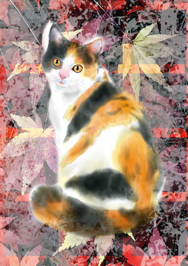 97猫