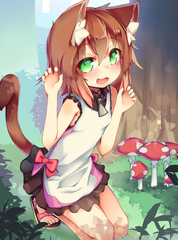 みてみて