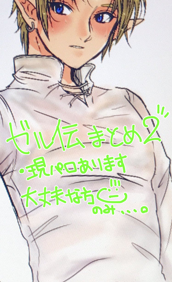 ゼル伝落書きまとめ２