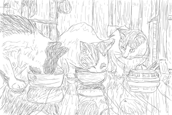 猫たちの朝ごはん。