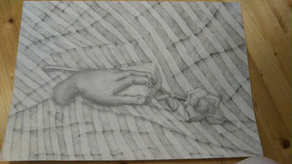 昔描いた生物画