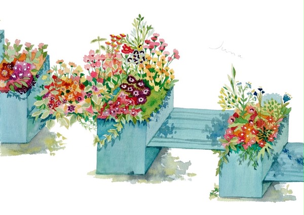 花壇