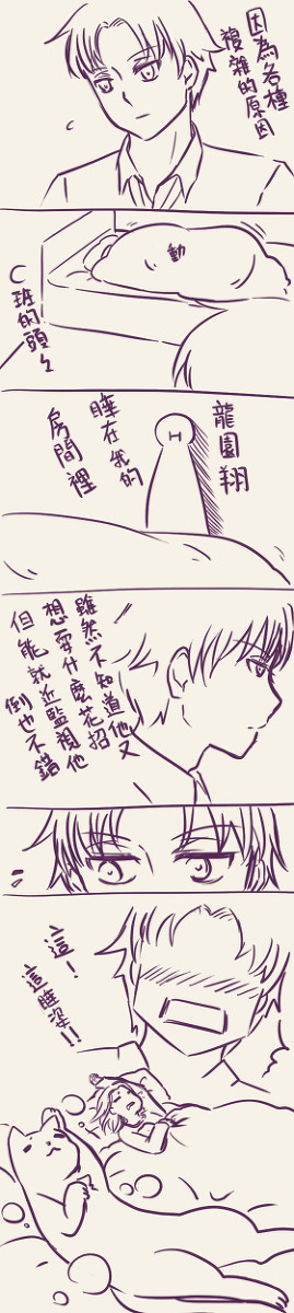 貓桑③