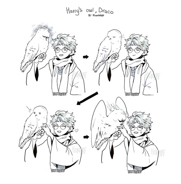 Harry's owl, Draco