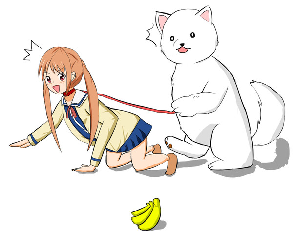 犬よりアホなよしこの図