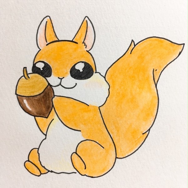 ぷっきゅー