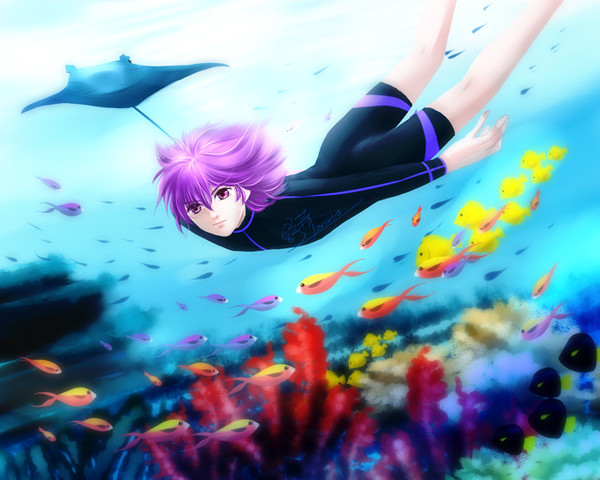 海