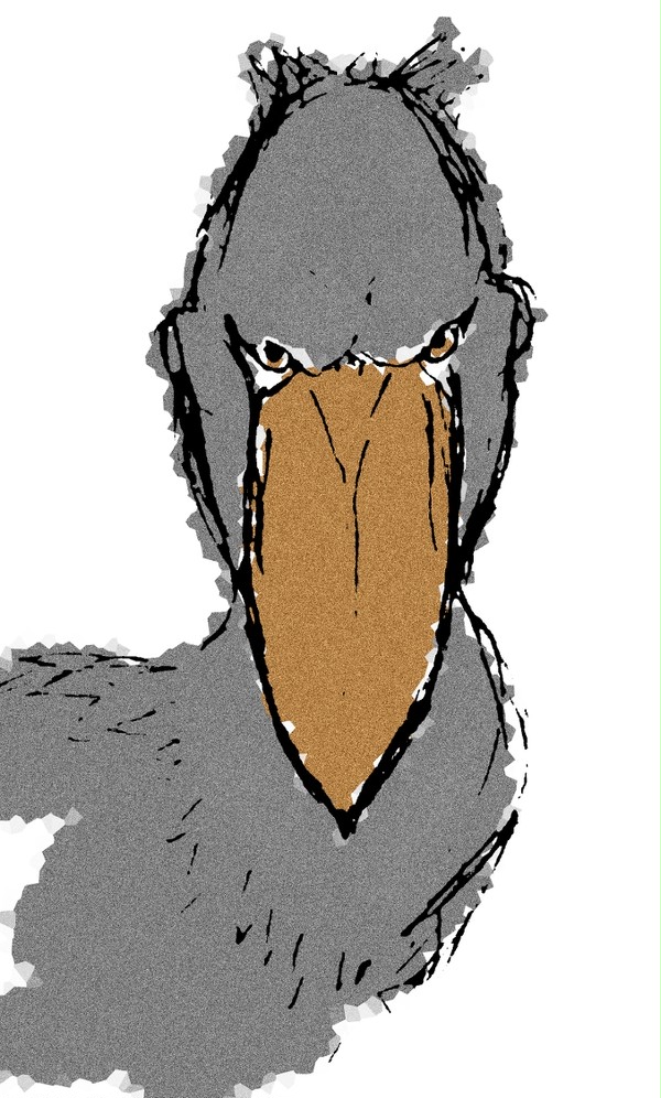 ハシビロコウ模写