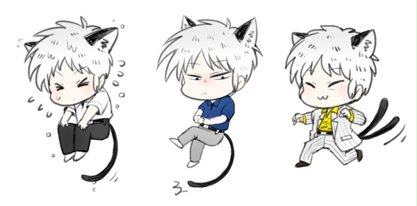 三世代猫