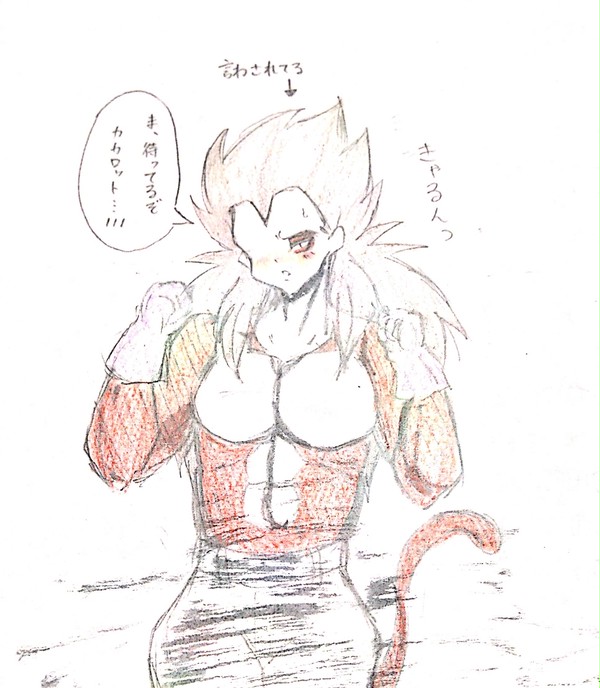DBついろぐ（カカベジ）2017.2～9