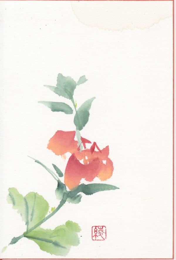 薔薇