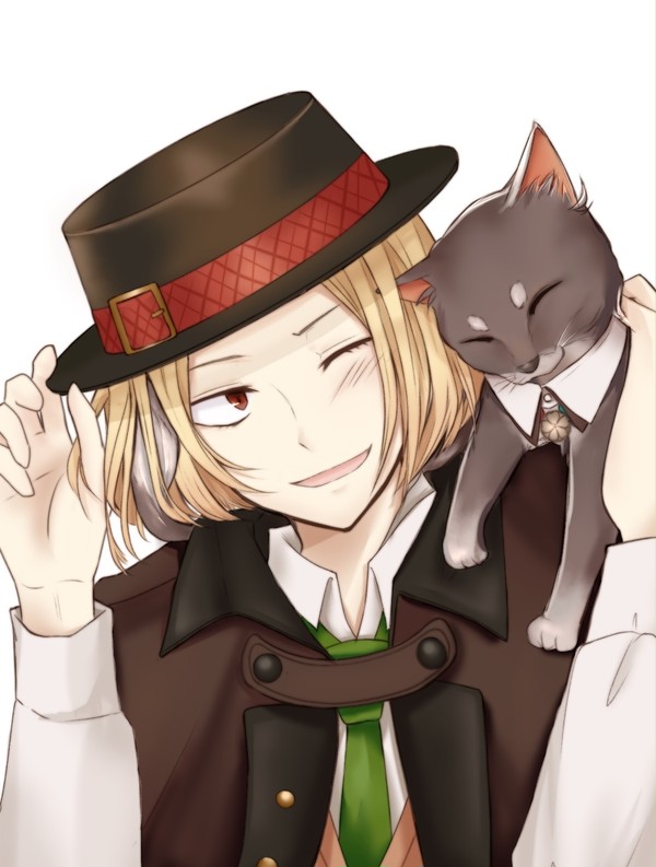 猫