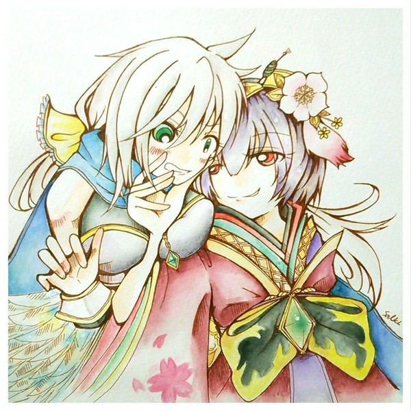 キクセフィ