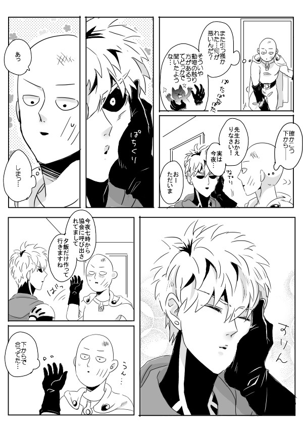 サイジェノ（サイ）まとめ７