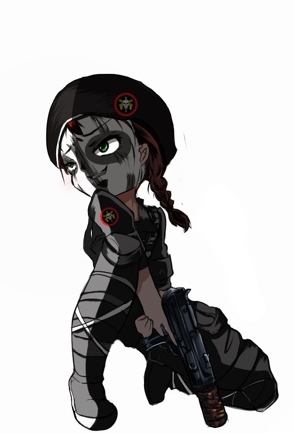 R6S　かべいら