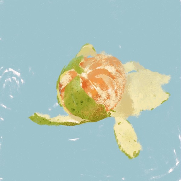 橘子
