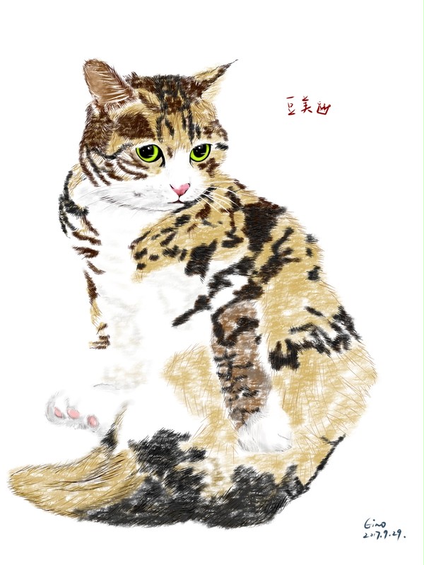 豆美