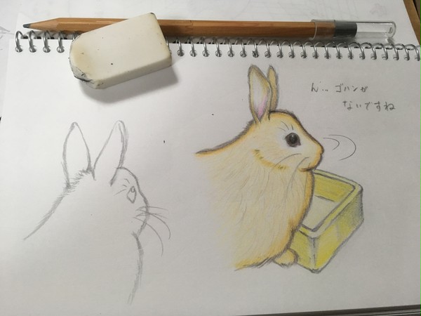 うちのウサギを描いた